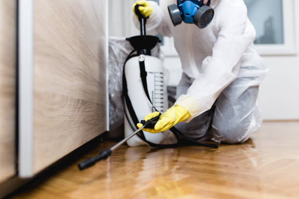 Best Flea Control Services  in Porterdale, GA
