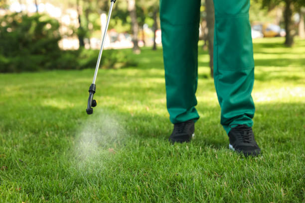 Best Ant Control Services  in Porterdale, GA