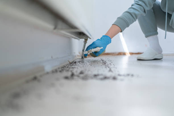Best Termite Control Services  in Porterdale, GA